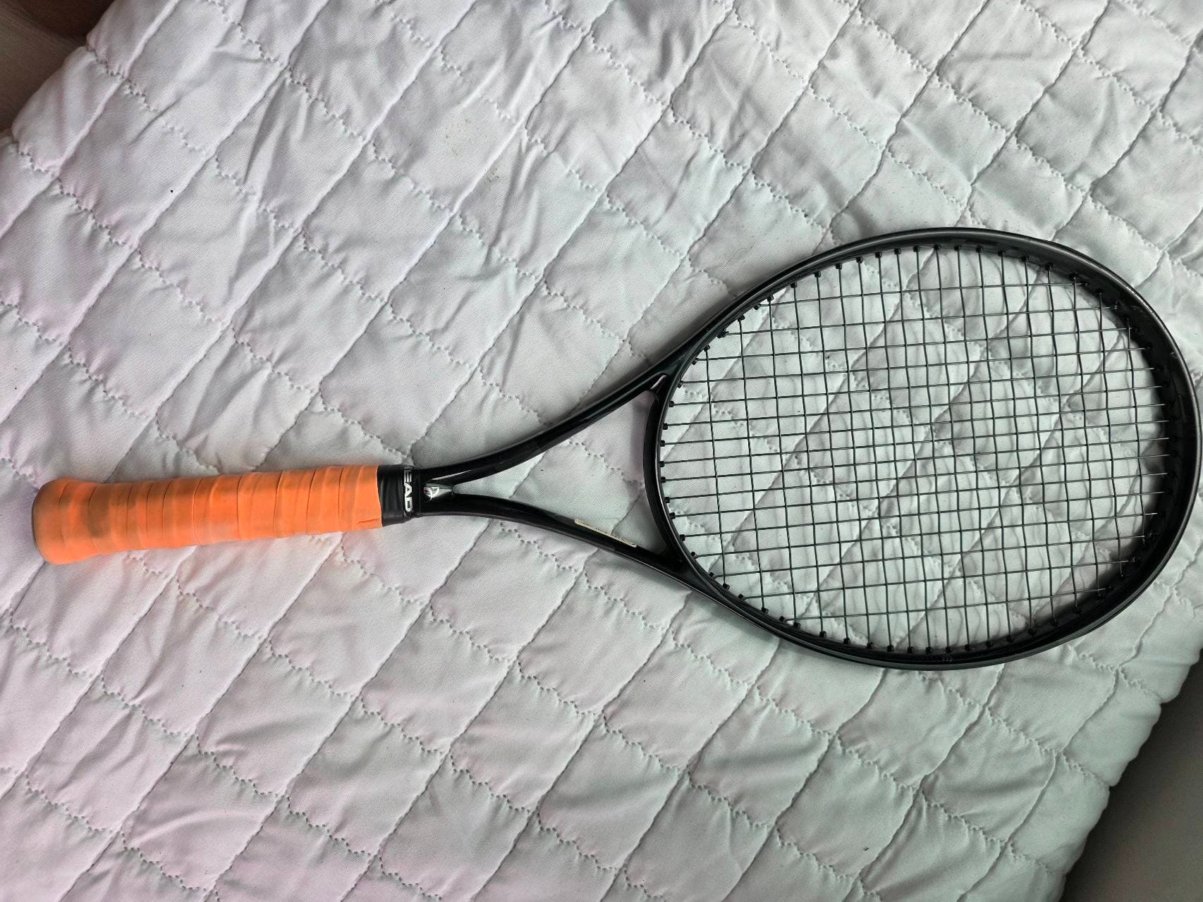 Speed MP 2024